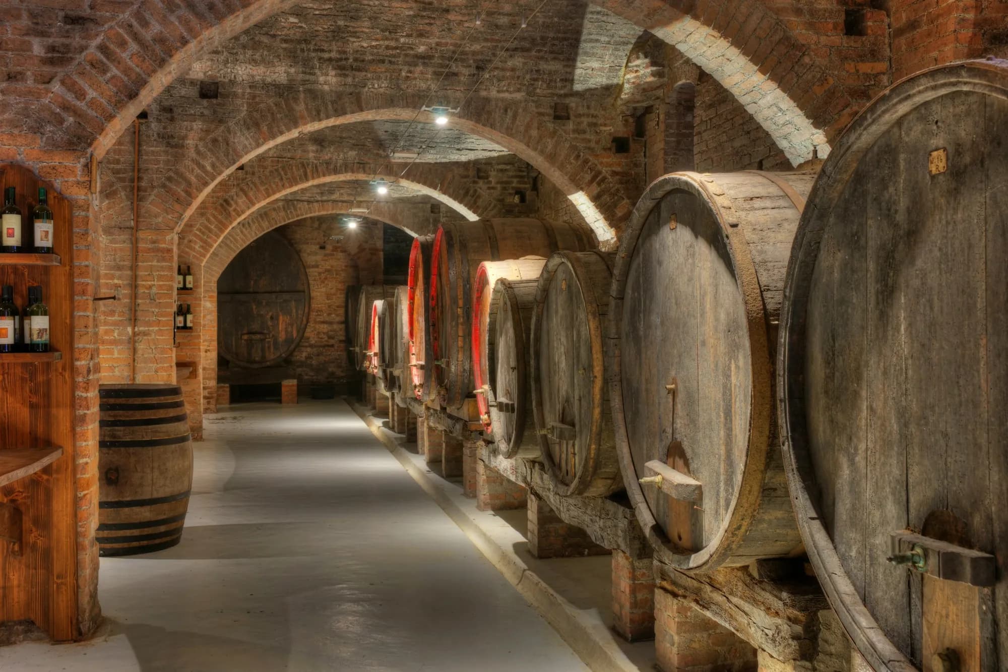 An arched brick cellar with rows of oak barrels